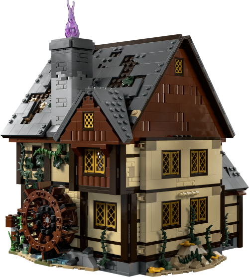 Set 21341
