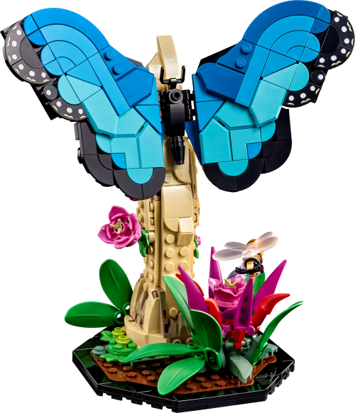 Set 21342
