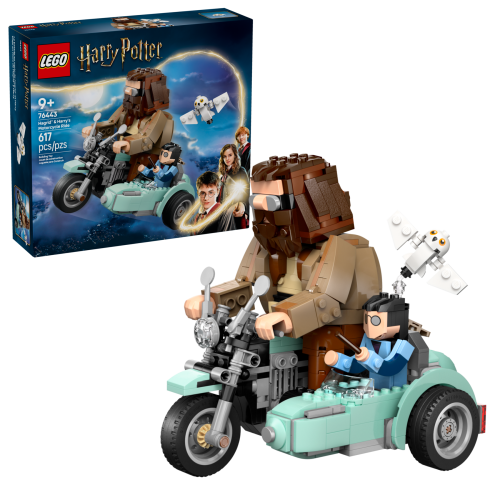 Set 76443