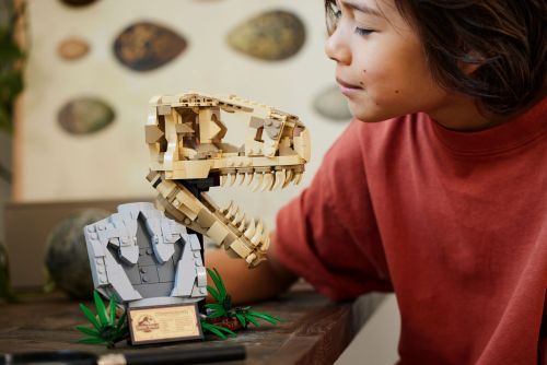 Set 76964
