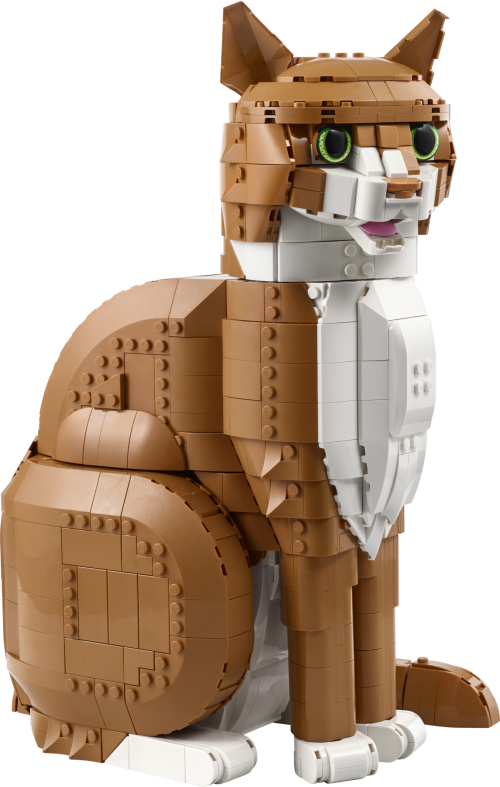 Set 21376