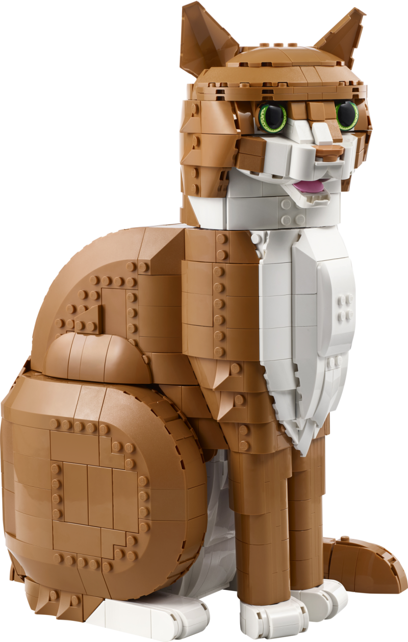 21376 Orangefarbene Katze
