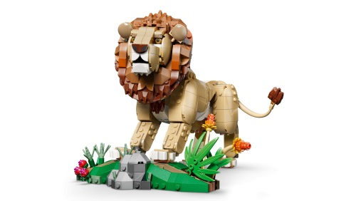 Set 31386