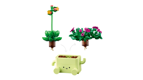 Set 11506