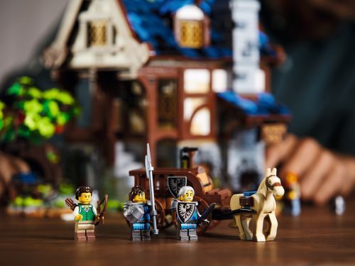 Set 21325