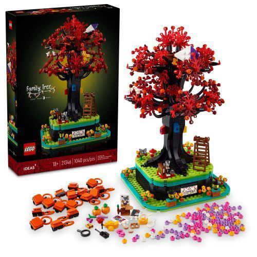 Set 21346