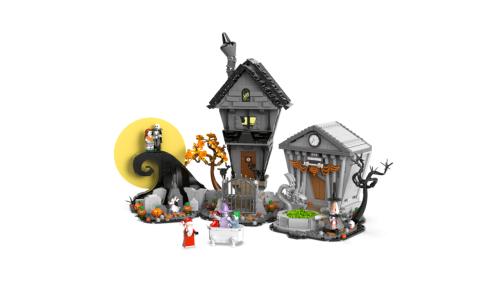 Set 21351