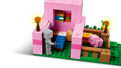 Set 21268