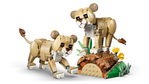 Set 31386