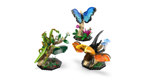 Set 21342