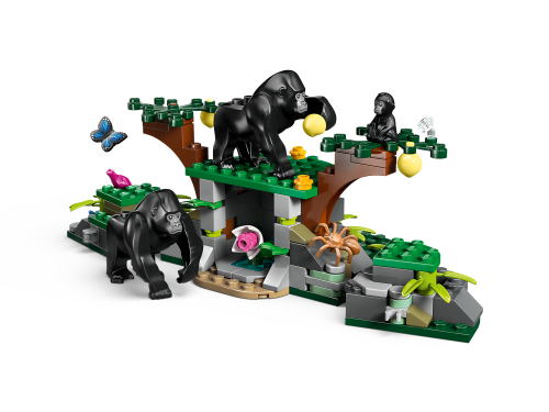 Set 60437