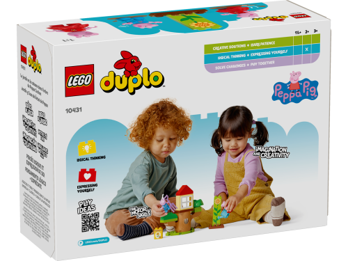 Set 10431