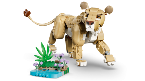 Set 31386
