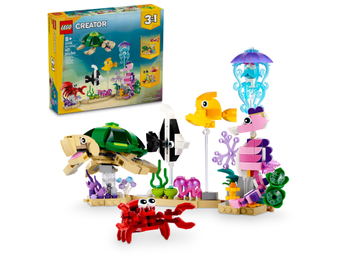 Set 31158