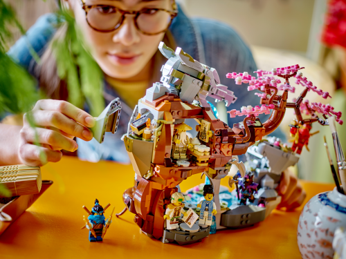 Set 71819
