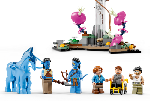 Set 75573