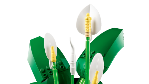 Set 11504
