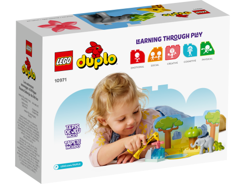 Set 10971