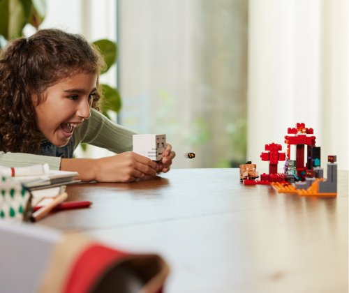 Set 21255