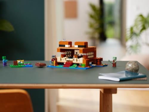 Set 21256