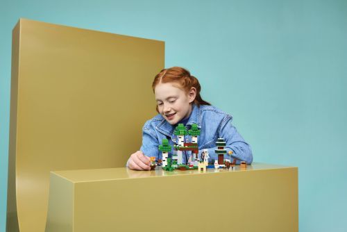 Set 21593