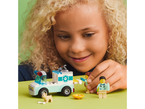Set 60382