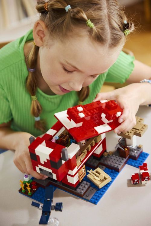 Set 21270