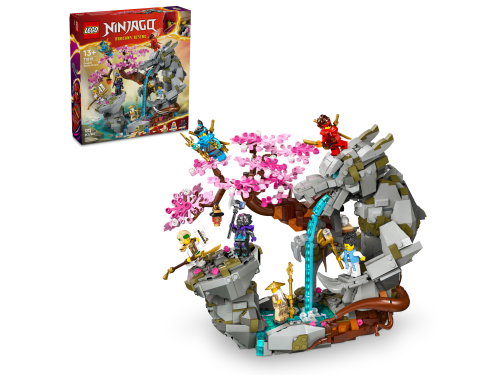 Set 71819