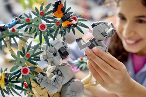 Set 31388