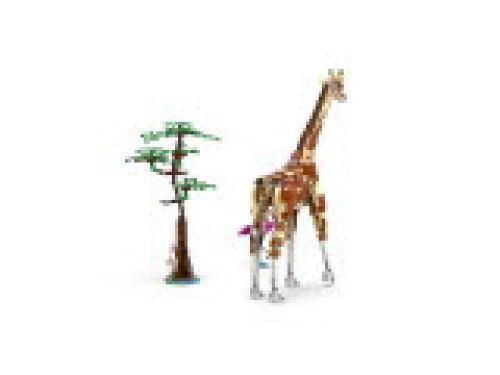 Set 31150