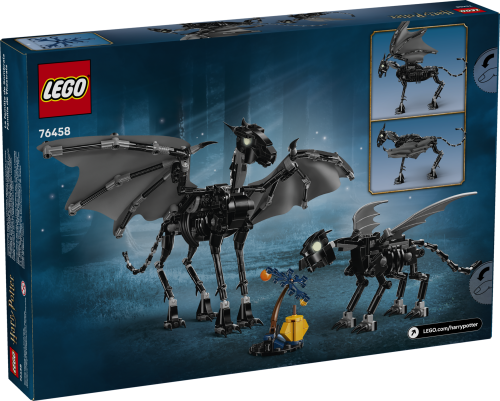 Set 76458