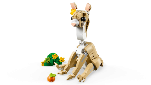 Set 31162