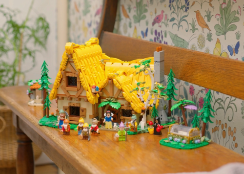 Set 43242