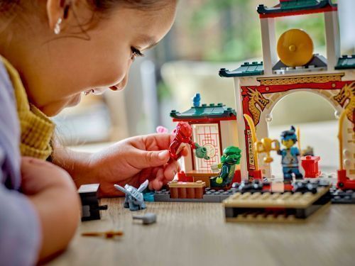 Set 71831