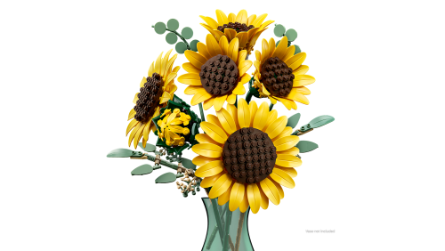Set 11502
