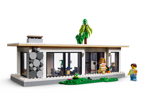 Set 31153