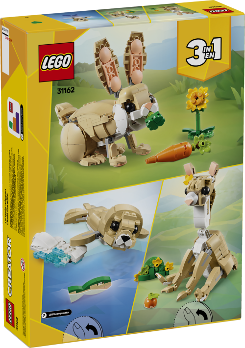 Set 31162