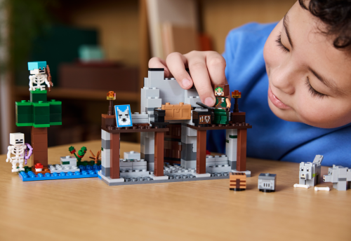 Set 21261