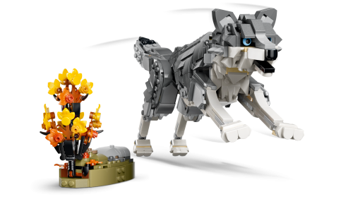 Set 31393