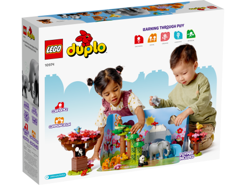 Set 10974