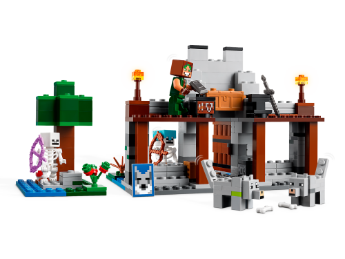 Set 21261