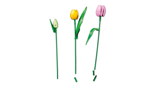 Set 11501