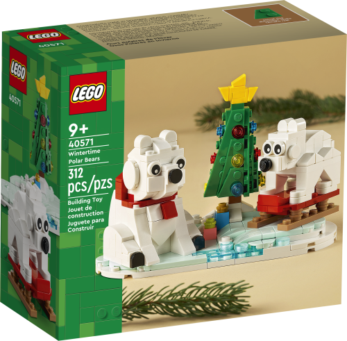 Set 40571