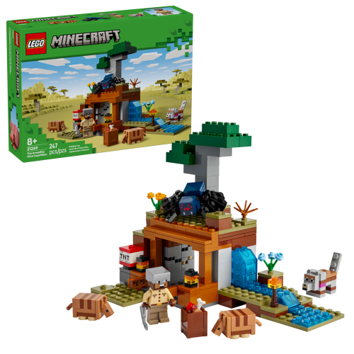 Set 21269