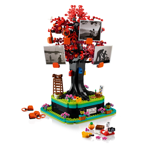 Set 21346