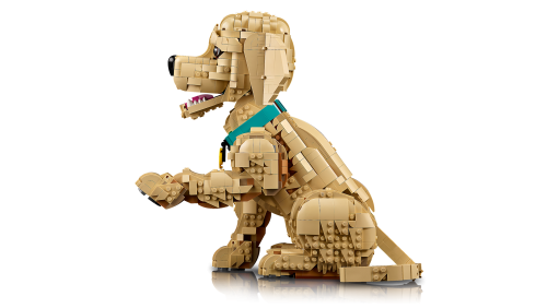 Set 11384