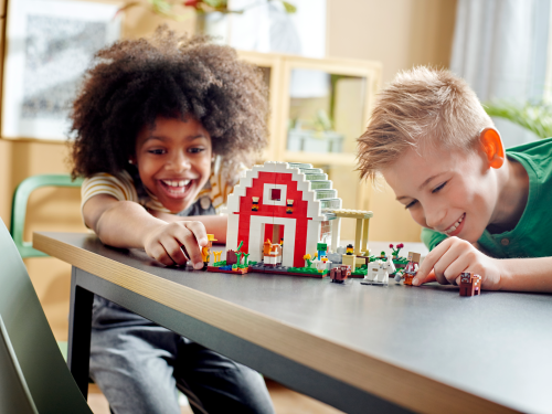 Set 21187