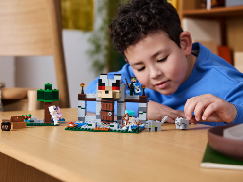 Set 21261