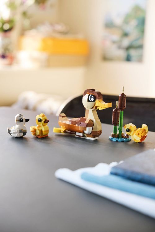 Set 40885