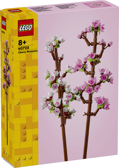 Set 40725